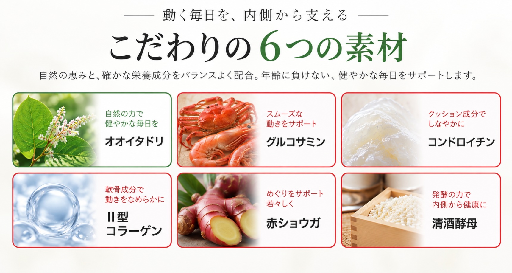 こだわりの6つの素材。オオイタドリ、グルコサミン、コンドロイチン、Ⅱ型コラーゲン、赤ショウガ、清酒酵母